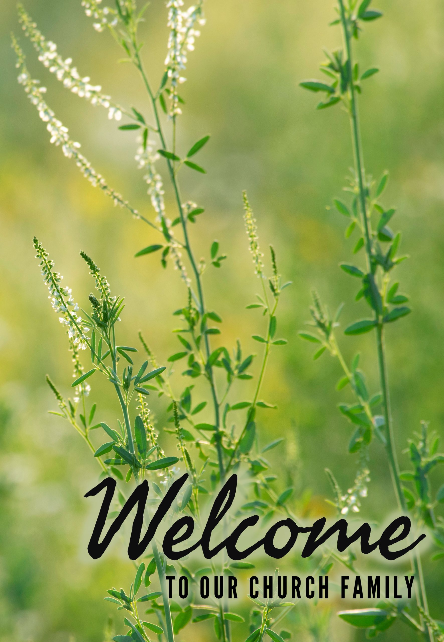 SBCOG FAMILY Spring Branch Church of God